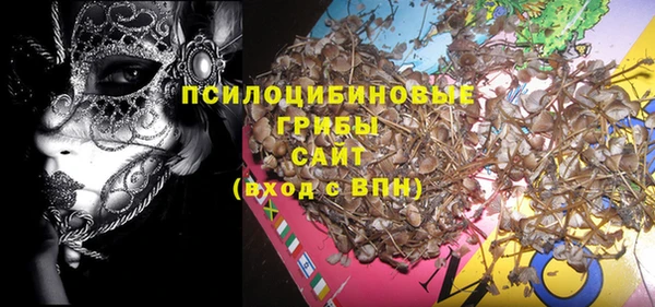 крисы Белокуриха