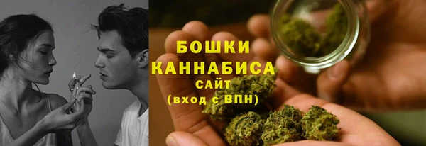 крисы Белокуриха