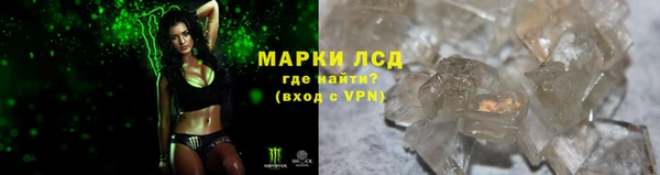 шишки Баксан
