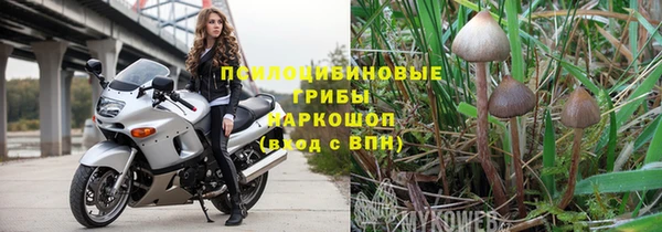 шишки Баксан