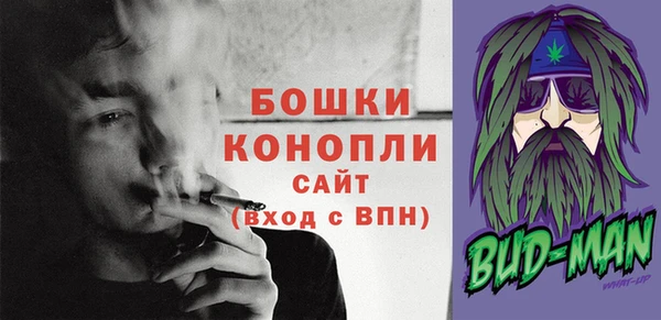 шишки Баксан