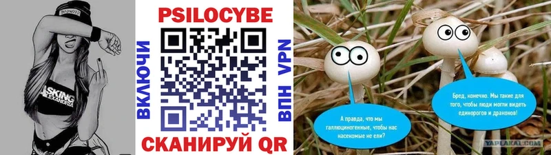 купить закладку  Будённовск  Галлюциногенные грибы MAGIC MUSHROOMS 